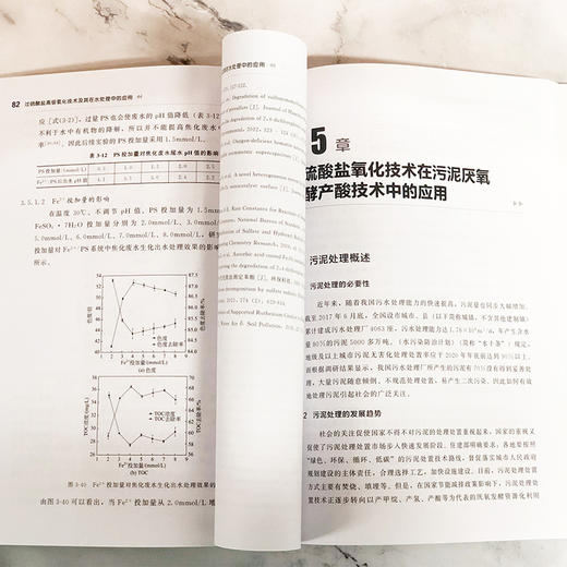 过硫酸盐高级氧化技术及其在水处理中的应用 商品图3