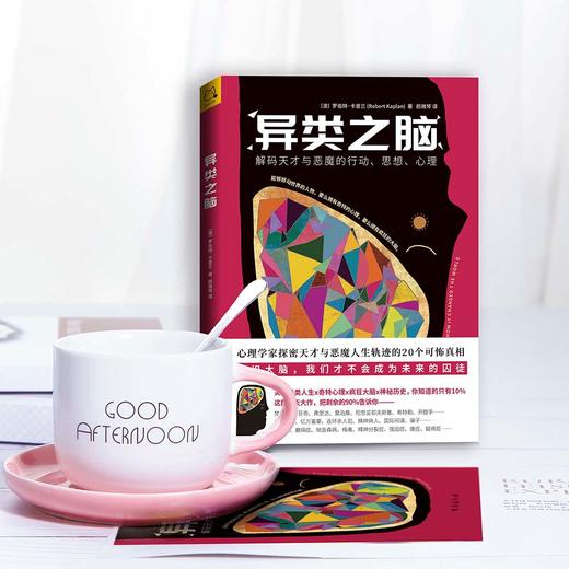 异类之脑：解码天才与恶魔的行动、思想、心理 商品图5