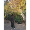 my suit pants 商品缩略图2
