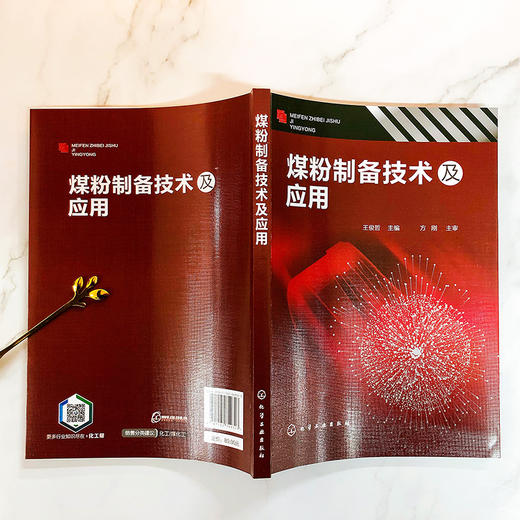煤粉制备技术及应用 商品图2