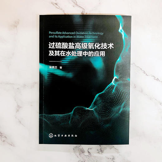 过硫酸盐高级氧化技术及其在水处理中的应用 商品图1