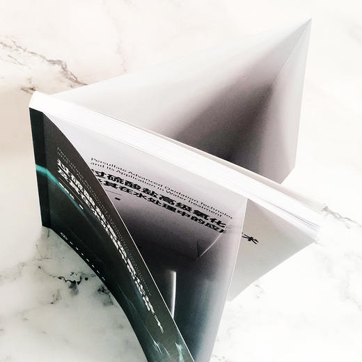 过硫酸盐高级氧化技术及其在水处理中的应用 商品图5