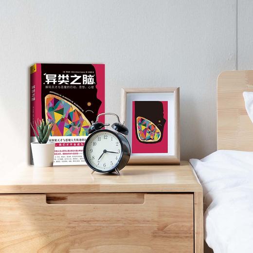 异类之脑：解码天才与恶魔的行动、思想、心理 商品图4