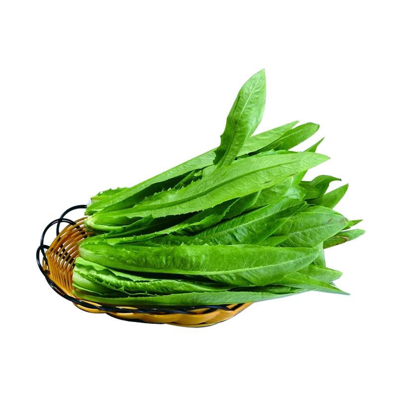油麦菜500g±50g(广场店)