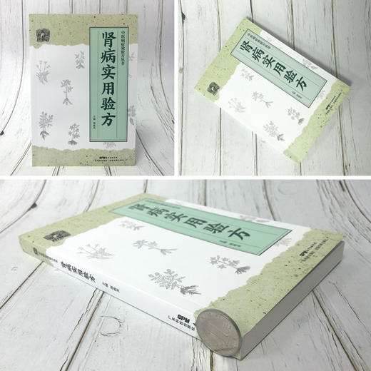 肾病实用验方 商品图1