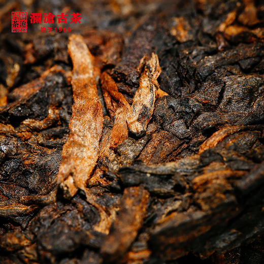 澜沧古茶2009年乌金品鉴装古树普洱茶熟茶10年老茶8.5g单泡装 商品图1