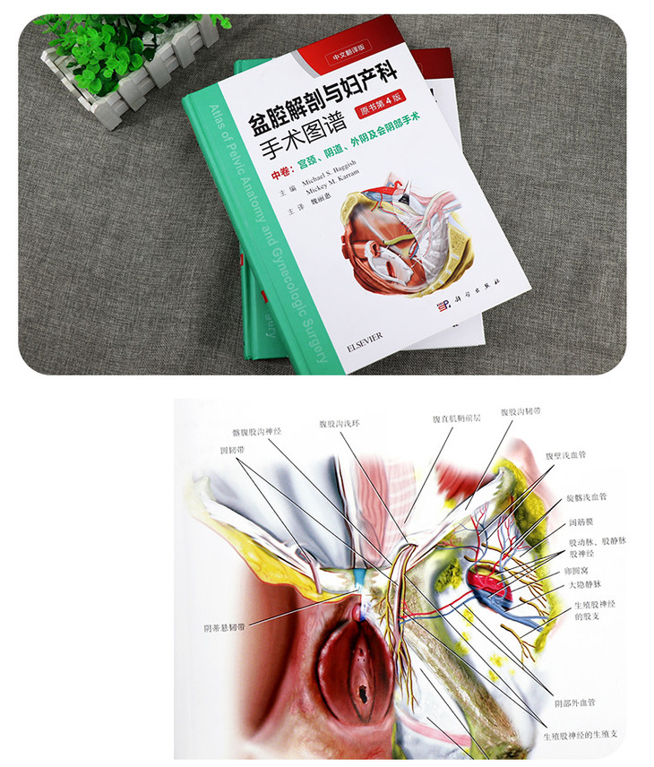 盆腔解剖与妇产科手术图谱 上中下卷(中文翻译版,原书