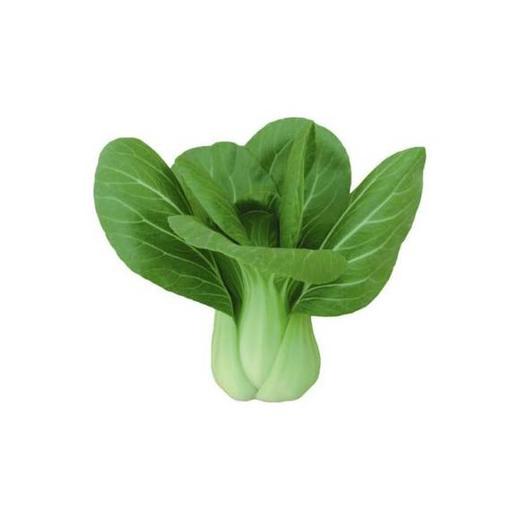 【百汇到家】瓢菜 商品图1