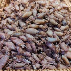 南港渔铺 鱿鱼仔500g