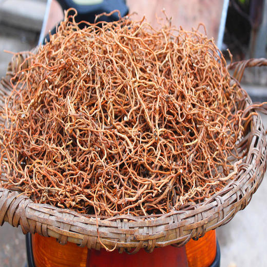 鱼腥草根茶折耳根本色鱼腥草根 商品图3