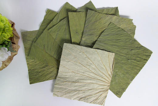 荷叶切片 20X22厘米 野生微山湖干荷叶裁片 包荷叶糯米鸡珍珠鸡 商品图1