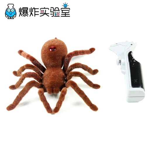 遥控仿生蜘蛛 商品图0