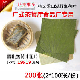 微山湖天然野生干荷叶切片200张 荷叶裁片19x19厘米包120克荷叶糯米鸡