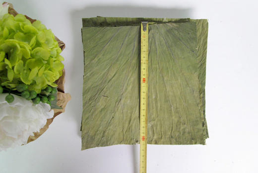 荷叶切片 20X22厘米 野生微山湖干荷叶裁片 包荷叶糯米鸡珍珠鸡 商品图2