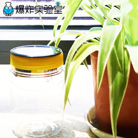 装阳光的瓶子