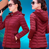 反季特卖棉服女加厚短款新款冬季羽绒棉服大码中年妈妈小棉袄外套 商品缩略图0