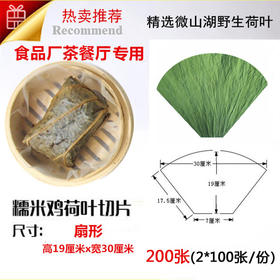 荷叶切片 扇形裁片 高19厘米宽30厘米 200 张 食品厂包荷叶糯米鸡