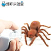 遥控仿生蜘蛛 商品缩略图2