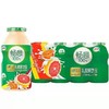 伊利畅意乳酸菌饮品100ML*20瓶 商品缩略图1