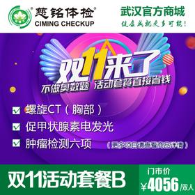 双11活动套餐B
