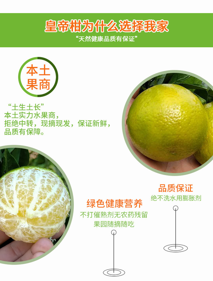 御品贡果 广西武鸣皇帝柑 清甜爽口 皮薄多汁 5斤/8斤