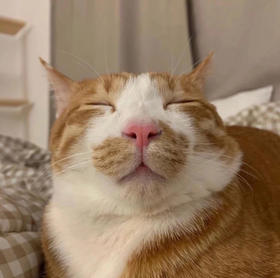 熬了