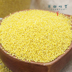  敖汉小米 | 在世界小米发源地，用一粒谷子见证8000年农耕文明 