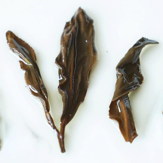 桐木关野茶赤甘（正山小种） 商品图3