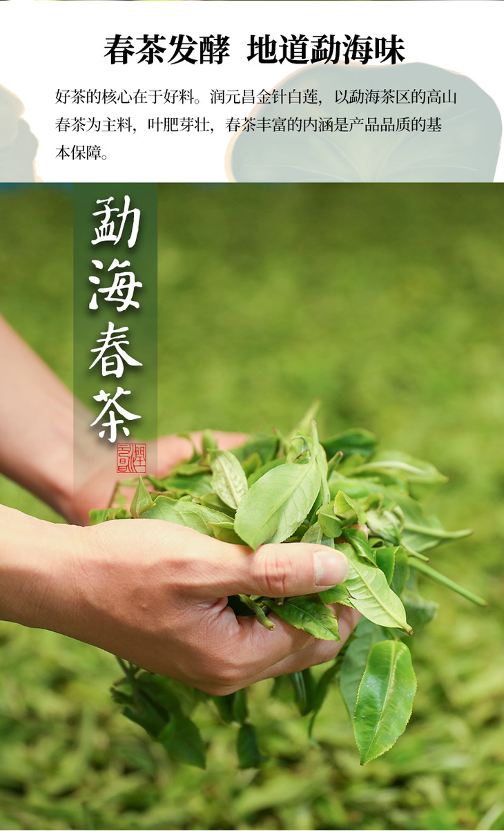 【整提抢购】润元昌 金针白莲云南勐海普洱熟茶七子饼
