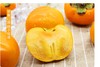 脆柿2斤±50g【团购价12.8元】 商品缩略图2