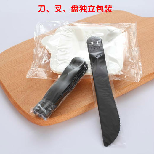 一次性餐盘 DELICIOUS 商品图0