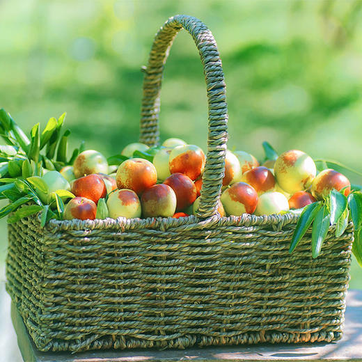 山东沾化特级冬枣——脆甜包邮5斤装 商品图4