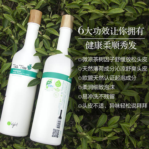 欧莱德 茶树洗发精   发顺丰 商品图1