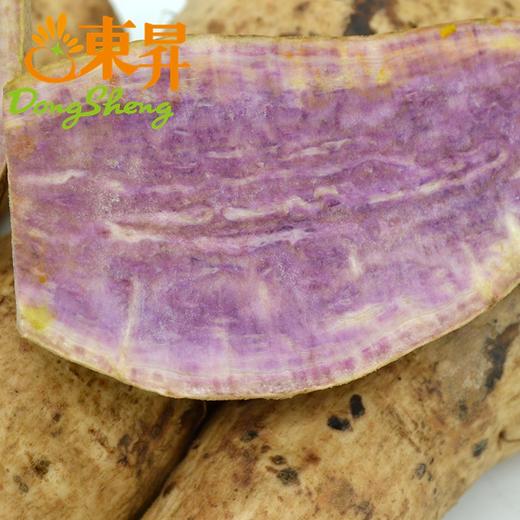 东升农场  有机白皮紫薯 地瓜  广州蔬菜 新鲜配送400g 商品图3