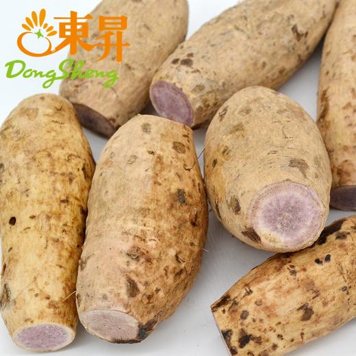 东升农场  有机白皮紫薯 地瓜  广州蔬菜 新鲜配送400g 商品图4