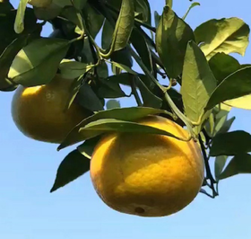 自然成熟的你更迷人