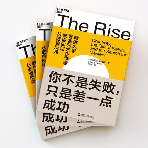 湛庐┃你不是失败，只是差一点成功：哈佛大学知名艺术史学家，教你如何从低谷反弹 商品图2