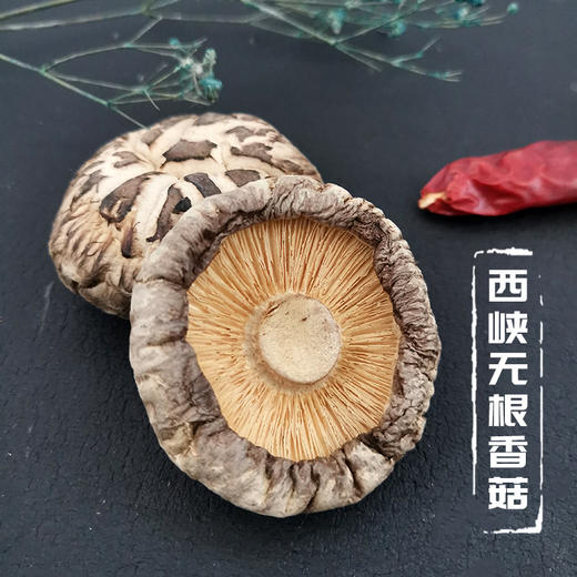 【南阳·西峡县】无根香菇 藏在大山深处的美味 花菇 蘑菇 商品图0