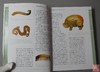 《中国古玉鉴藏》 商品缩略图2