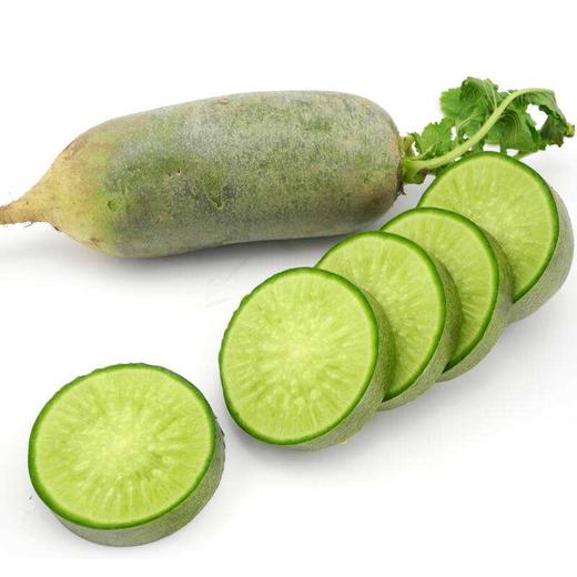 天津沙窝水果萝卜10斤 商品图0