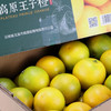 云南高原王子橙 哀牢山冰糖橙 商品缩略图5