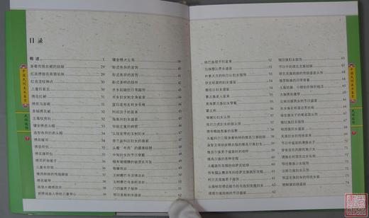 经典系列丛书！《中国民间美术鉴赏-民间服饰（下）》 商品图2