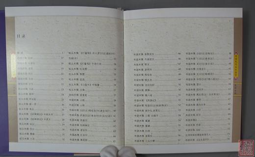 《中国民间美术鉴赏-民间木偶》 商品图1