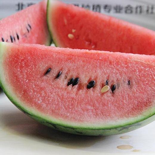 山东牛奶小西瓜4个装 限六环内 商品图1