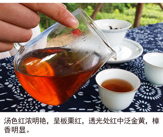 茶马世家 留春令 普洱茶熟茶 云南普洱茶叶357g 商品图1