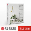 【签名版】植物风格 我的植物生活新提案 阿兰娜兰根 著 室内植物教科书 养护和设计  中信出版社图书 正版书籍 商品缩略图0