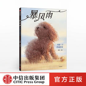 暴风雨 郭婧 著 中国原创童书 独生小孩作者新作 温情故事 耐心善良信任 中信出版社图书 正版书籍