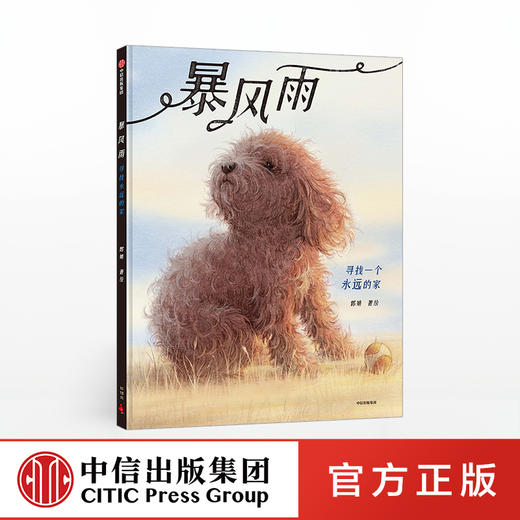 暴风雨 郭婧 著 中国原创童书 独生小孩作者新作 温情故事 耐心善良信任 中信出版社图书 正版书籍 商品图0
