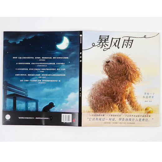 暴风雨 郭婧 著 中国原创童书 独生小孩作者新作 温情故事 耐心善良信任 中信出版社图书 正版书籍 商品图3
