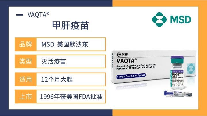 甲肝疫苗接种 hav 甲型肝炎疫苗 儿童疫苗 1岁以上接种2针 周期0-6